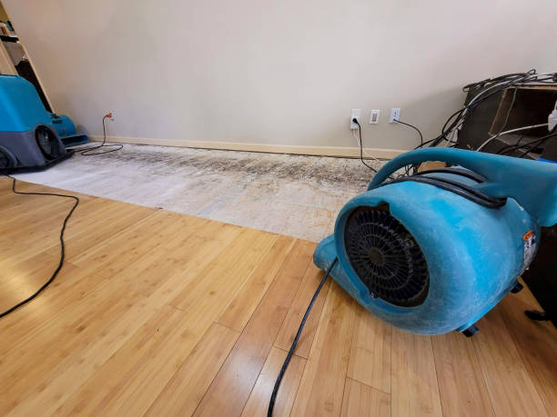 Professional Basement Flood Cleanup technician working in LaBelle, FL